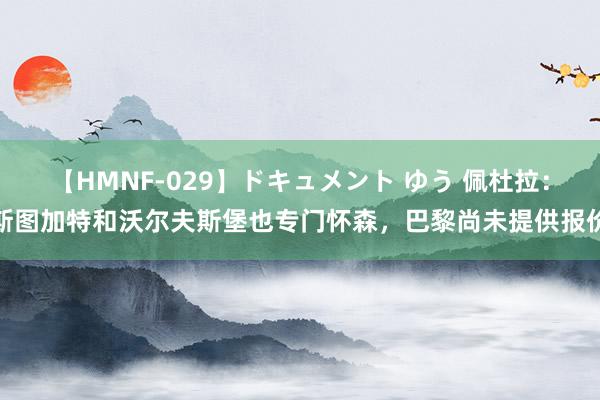 【HMNF-029】ドキュメント ゆう 佩杜拉：斯图加特和沃尔夫斯堡也专门怀森，巴黎尚未提供报价