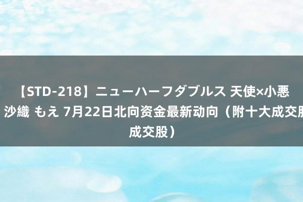 【STD-218】ニューハーフダブルス 天使×小悪魔 沙織 もえ 7月22日北向资金最新动向（附十大成交股）