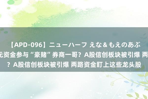 【APD-096】ニューハーフ えな＆もえのあぶない課外授業 超73亿元资金参与“豪赌”券商一哥？A股信创板块被引爆 两路资金盯上这些龙头股