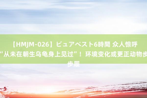 【HMJM-026】ピュアベスト6時間 众人惊呼：“从未在朝生乌龟身上见过”！环境变化或更正动物步履