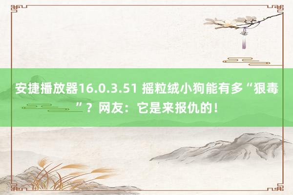 安捷播放器16.0.3.51 摇粒绒小狗能有多“狠毒”？网友：它是来报仇的！