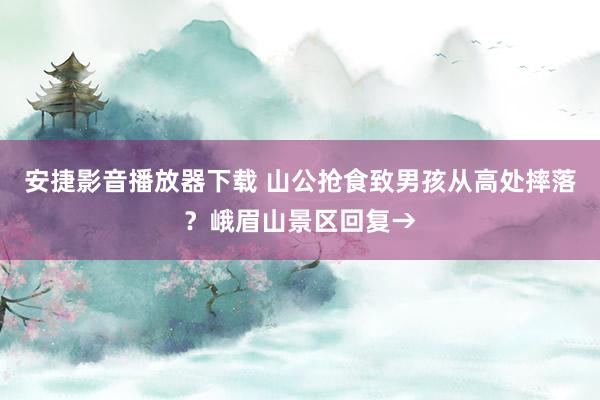 安捷影音播放器下载 山公抢食致男孩从高处摔落？峨眉山景区回复→