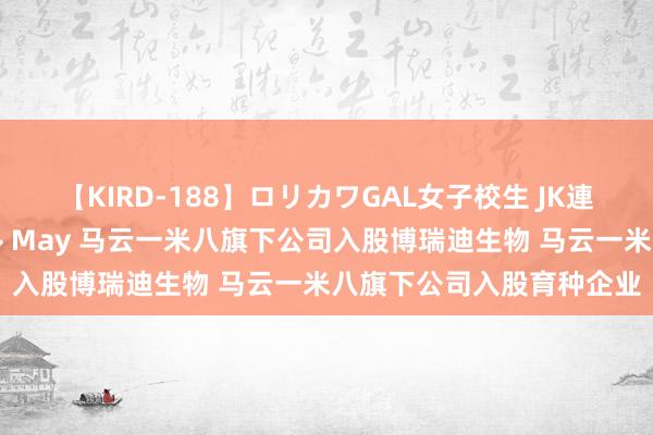 【KIRD-188】ロリカワGAL女子校生 JK連続一撃顔射ハイスクール May 马云一米八旗下公司入股博瑞迪生物 马云一米八旗下公司入股育种企业