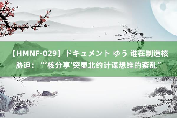 【HMNF-029】ドキュメント ゆう 谁在制造核胁迫：“‘核分享’突显北约计谋想维的紊乱”