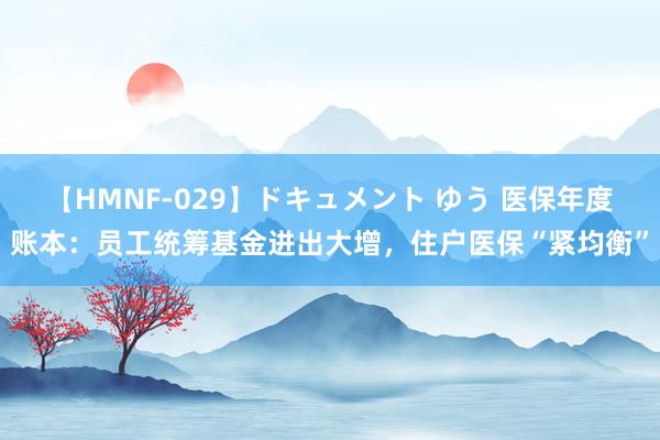 【HMNF-029】ドキュメント ゆう 医保年度账本：员工统筹基金进出大增，住户医保“紧均衡”