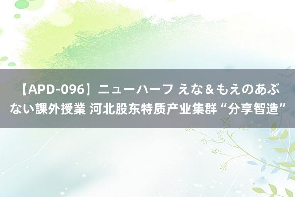 【APD-096】ニューハーフ えな＆もえのあぶない課外授業 河北股东特质产业集群“分享智造”