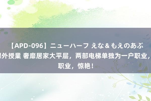 【APD-096】ニューハーフ えな＆もえのあぶない課外授業 奢靡居家大平层，两部电梯单独为一户职业，惊艳！