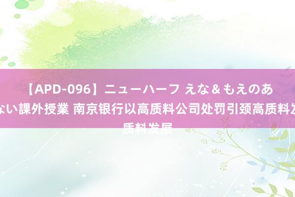 【APD-096】ニューハーフ えな＆もえのあぶない課外授業 南京银行以高质料公司处罚引颈高质料发展