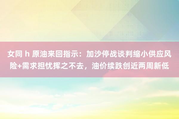 女同 h 原油来回指示：加沙停战谈判缩小供应风险+需求担忧挥之不去，油价续跌创近两周新低