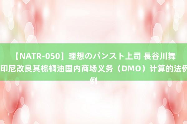 【NATR-050】理想のパンスト上司 長谷川舞 印尼改良其棕榈油国内商场义务（DMO）计算的法例