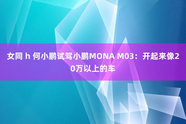 女同 h 何小鹏试驾小鹏MONA M03：开起来像20万以上的车