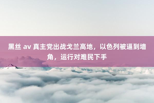 黑丝 av 真主党出战戈兰高地，以色列被逼到墙角，运行对难民下手