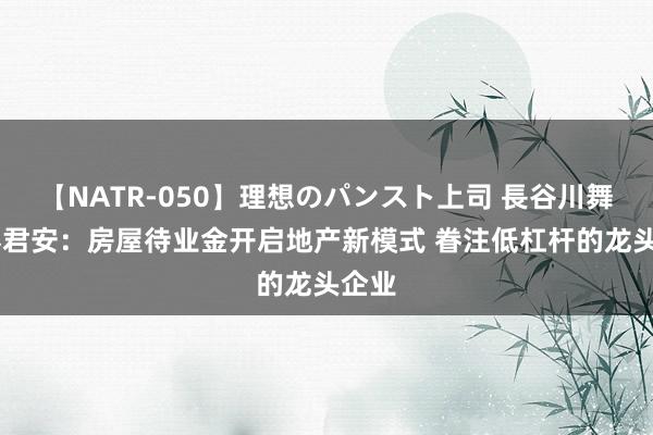 【NATR-050】理想のパンスト上司 長谷川舞 国泰君安：房屋待业金开启地产新模式 眷注低杠杆的龙头企业