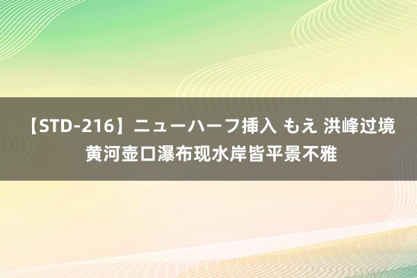 【STD-216】ニューハーフ挿入 もえ 洪峰过境 黄河壶口瀑布现水岸皆平景不雅