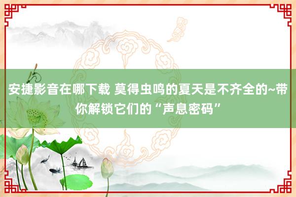 安捷影音在哪下载 莫得虫鸣的夏天是不齐全的~带你解锁它们的“声息密码”