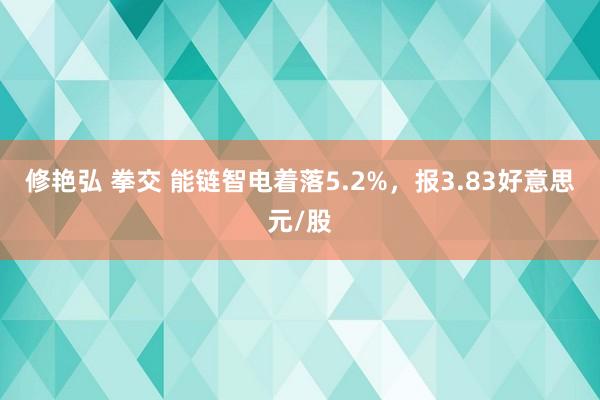 修艳弘 拳交 能链智电着落5.2%，报3.83好意思元/股