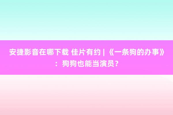 安捷影音在哪下载 佳片有约 | 《一条狗的办事》：狗狗也能当演员？