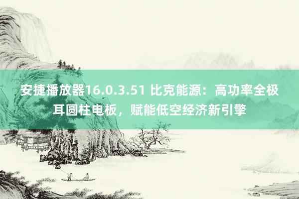 安捷播放器16.0.3.51 比克能源：高功率全极耳圆柱电板，赋能低空经济新引擎