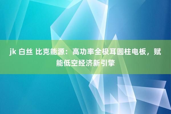 jk 白丝 比克能源：高功率全极耳圆柱电板，赋能低空经济新引擎