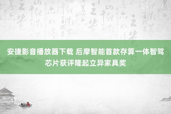 安捷影音播放器下载 后摩智能首款存算一体智驾芯片获评隆起立异家具奖