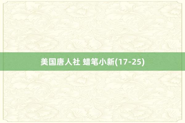 美国唐人社 蜡笔小新(17-25)