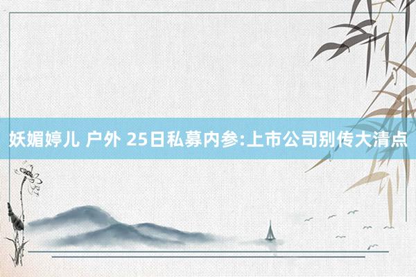 妖媚婷儿 户外 25日私募内参:上市公司别传大清点